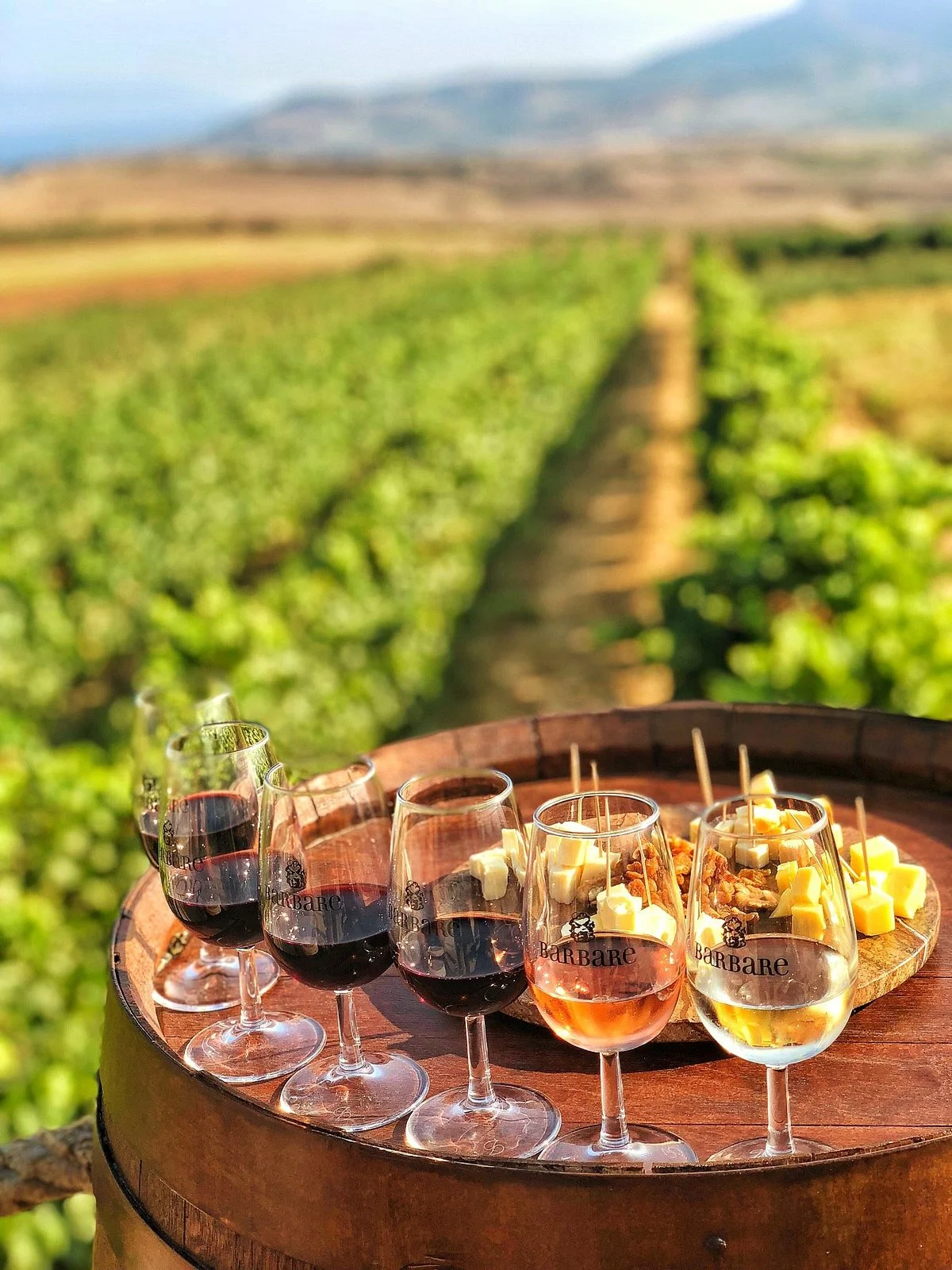 Barbare Vineyards