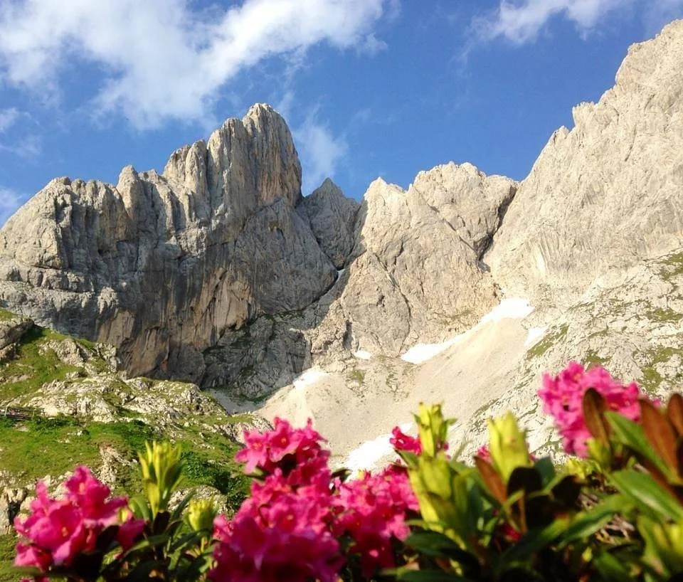 Rifugio Calvi