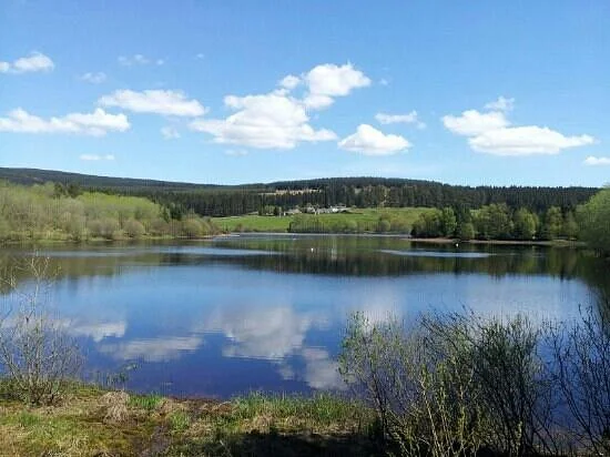 Kielder Water & Forest Park