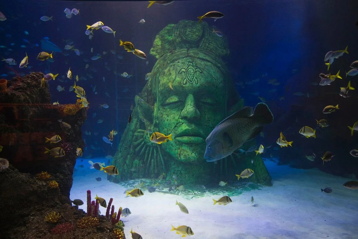 Sea Life Manchester