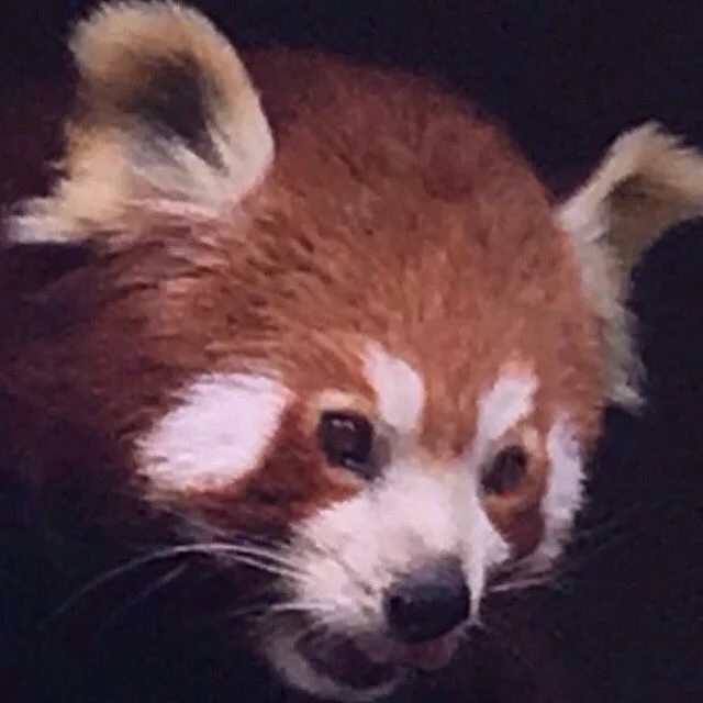 Tierpark Aachen