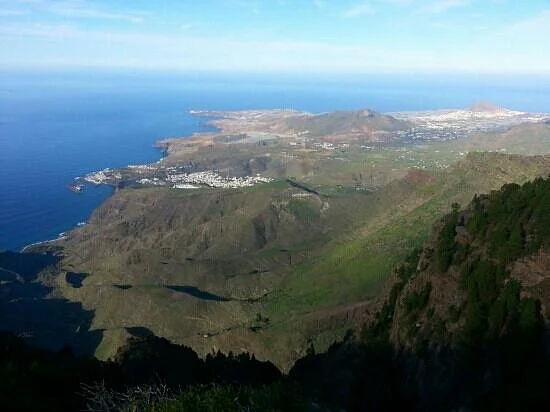 Pinar de Tamadaba