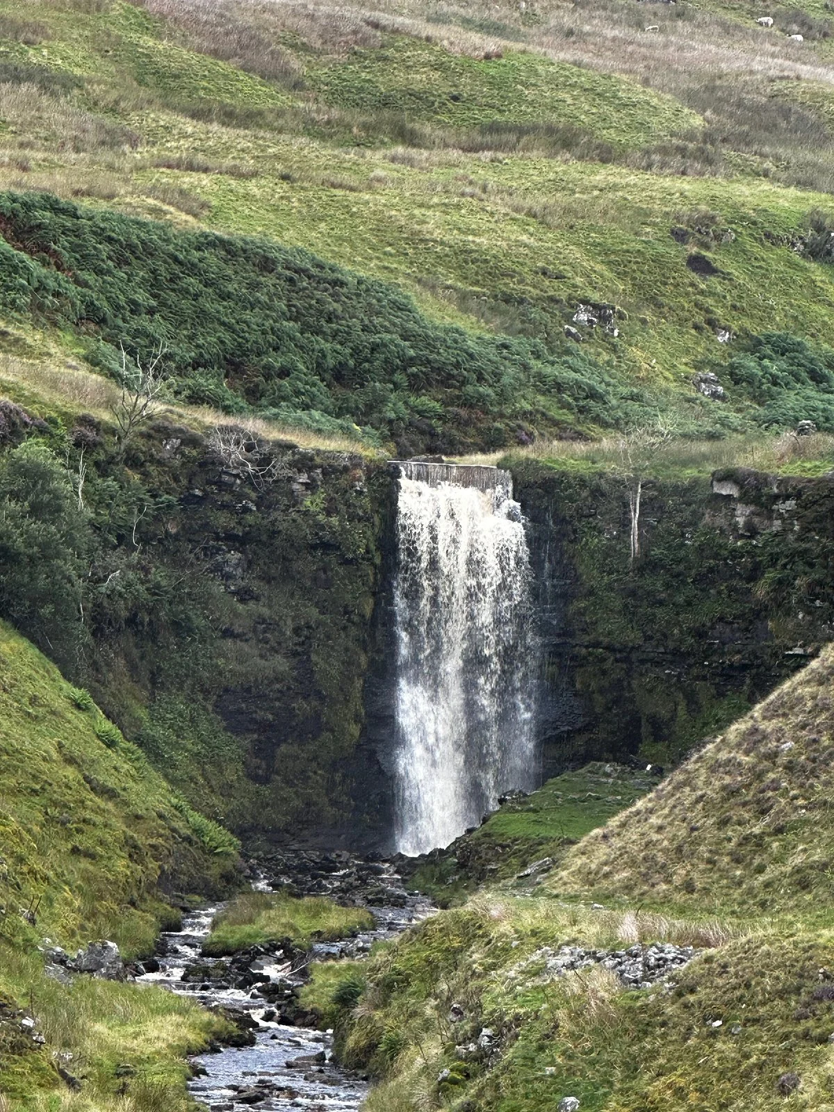 Whernside