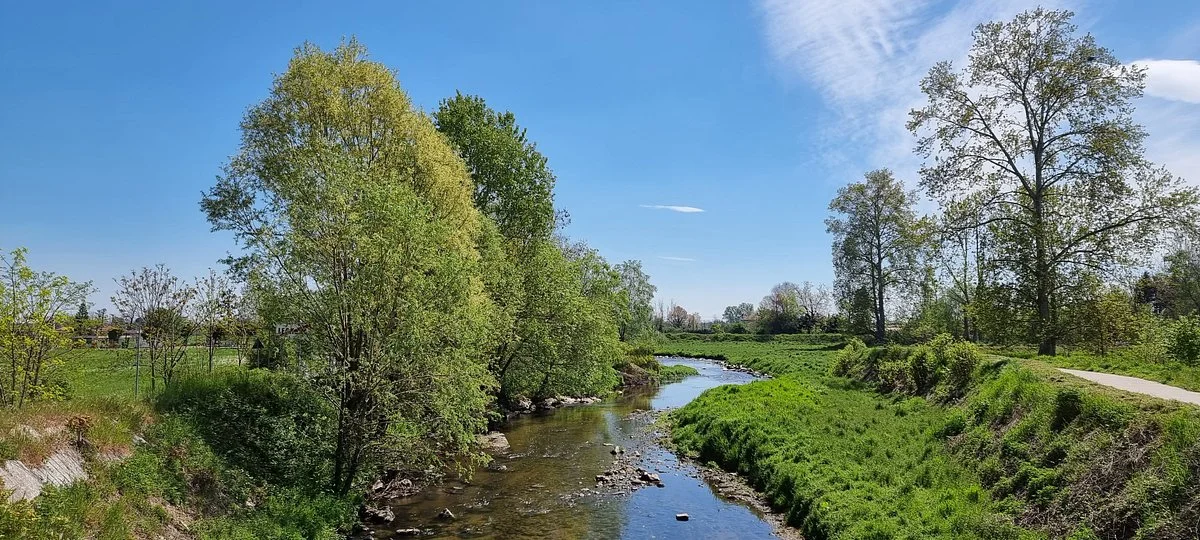 Bosco di Legnano (Parco Castello)