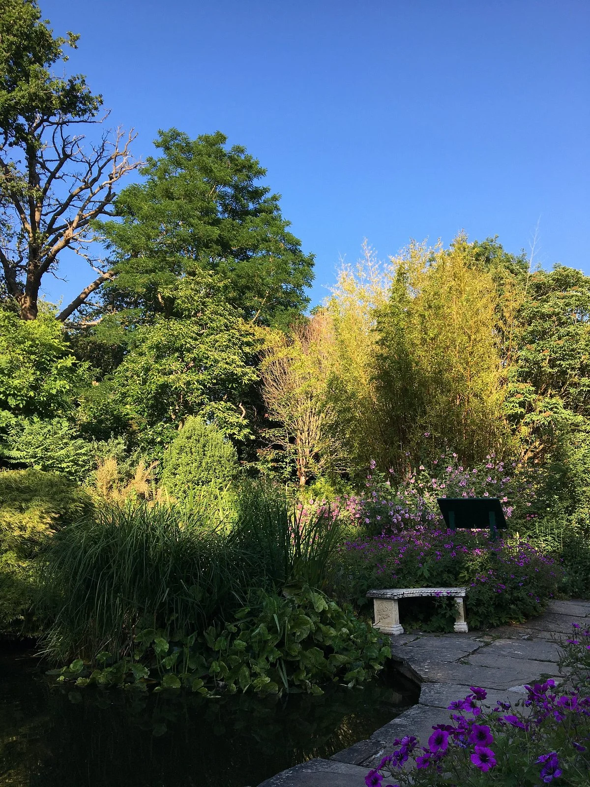 Cheslyn House & Gardens