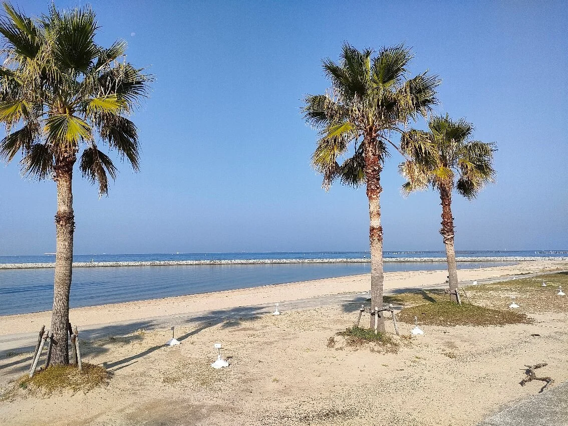 Rinku Beach
