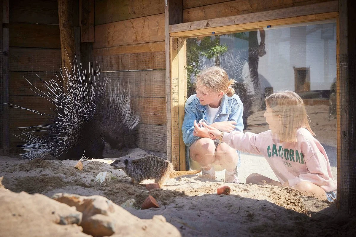 Feadon Farm Wildlife Centre