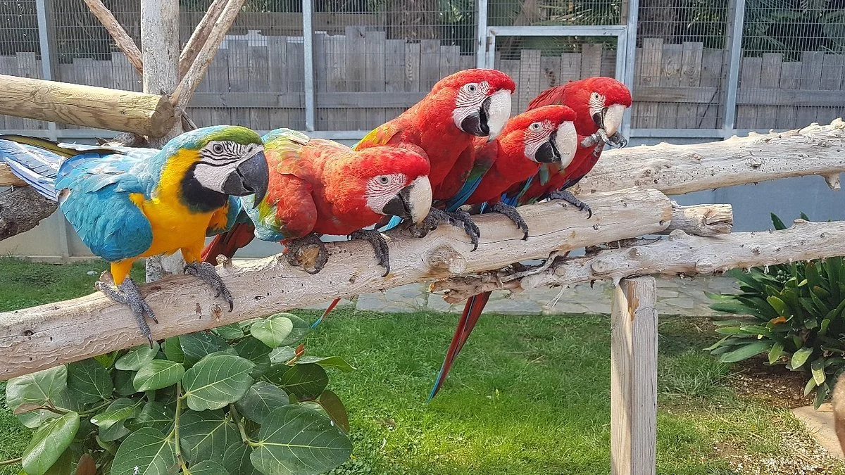 Jardin del Papagayo