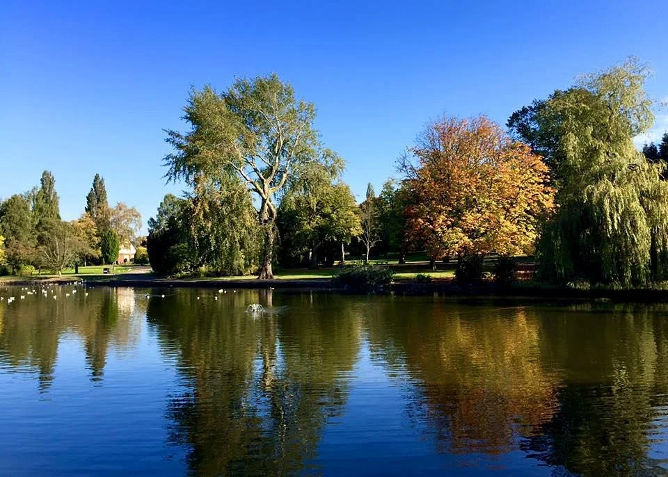 Longton Park