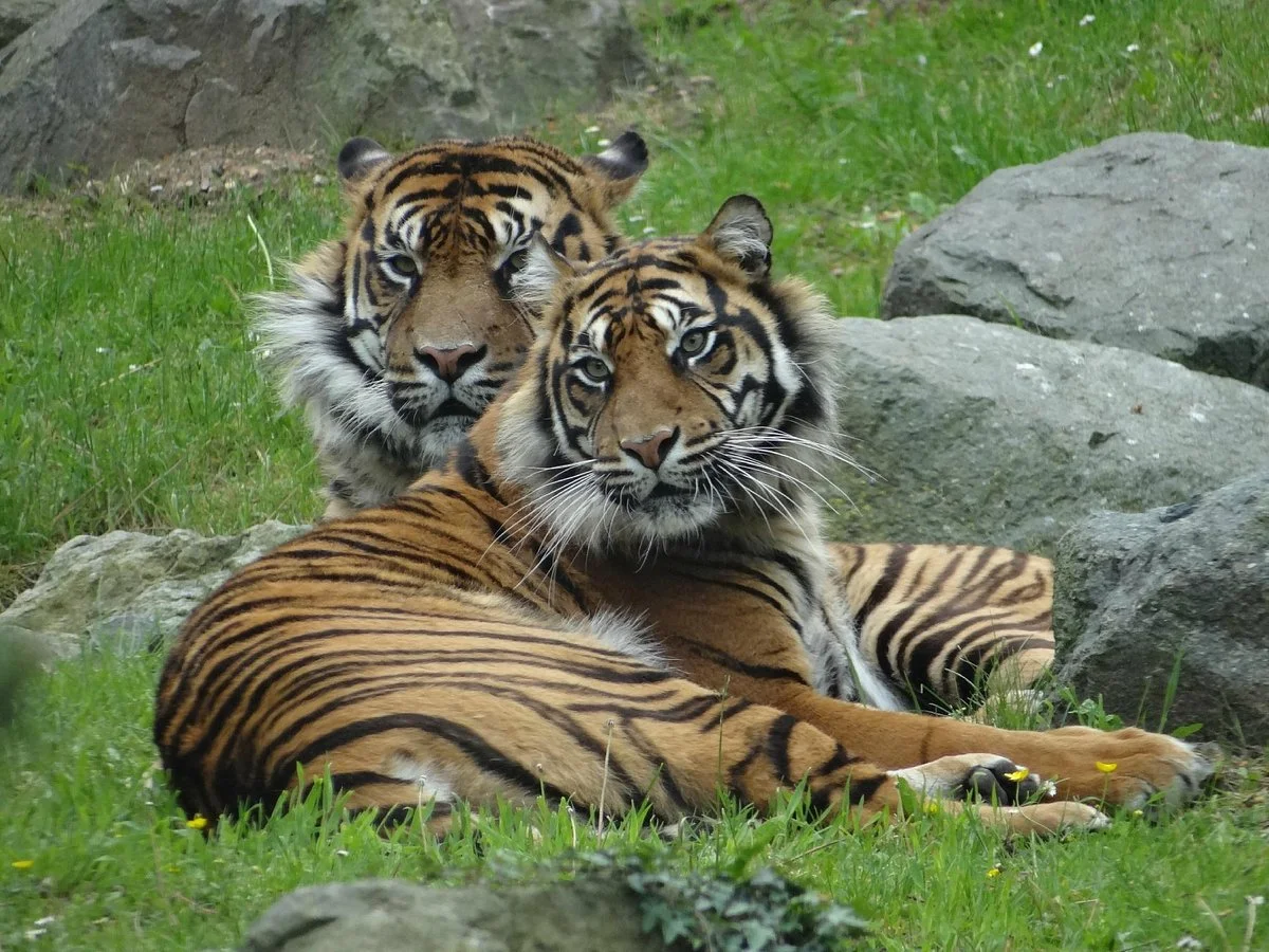 Zoo de La Fleche