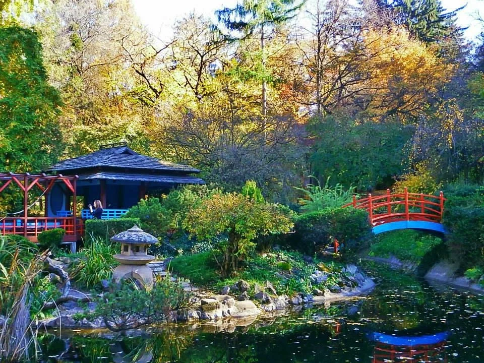 Grădina Botanică "Alexandru Borza"