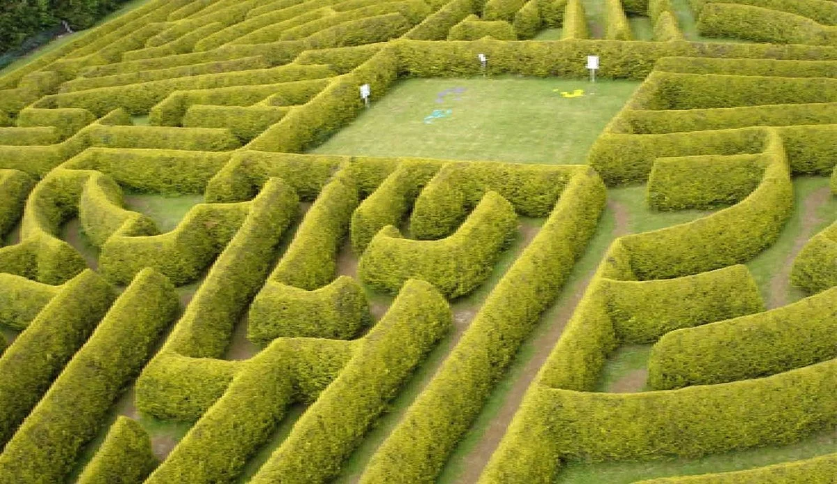 The Kildare Maze