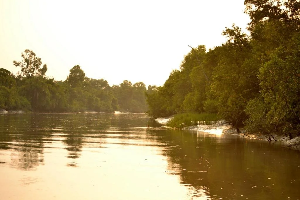 Sundarbans