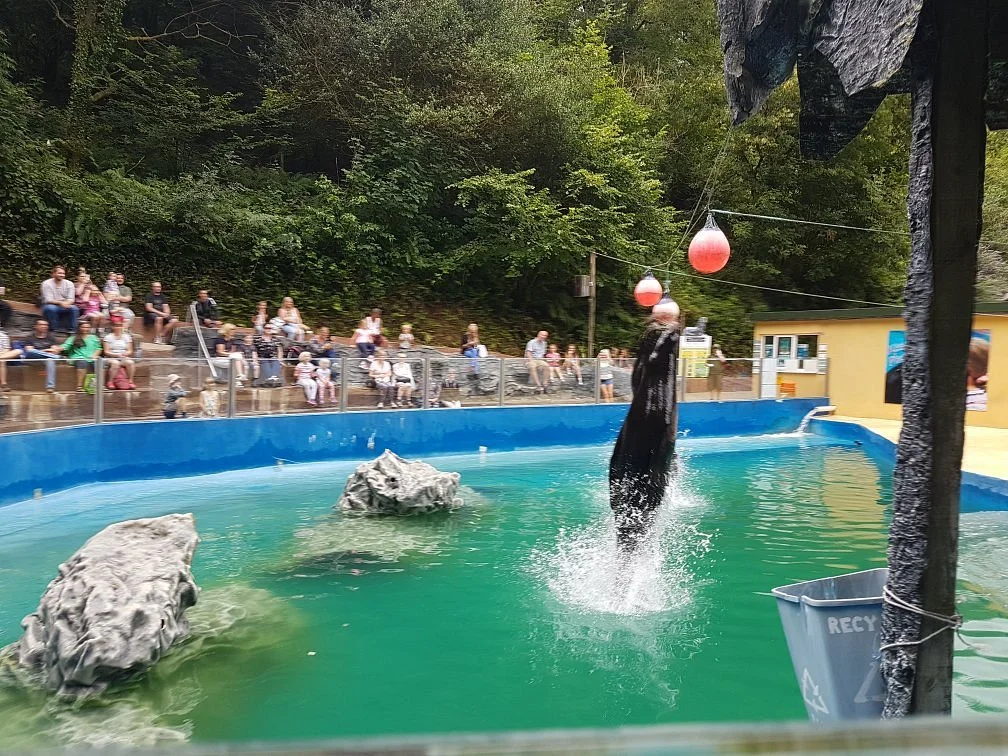 Combe Martin Wildlife and Dinosaur Park