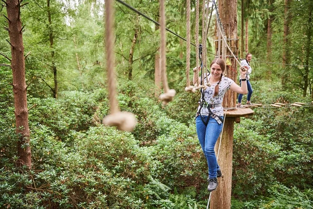 Go Ape Grizedale