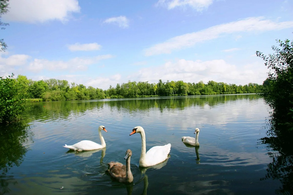 Parc d'Isle