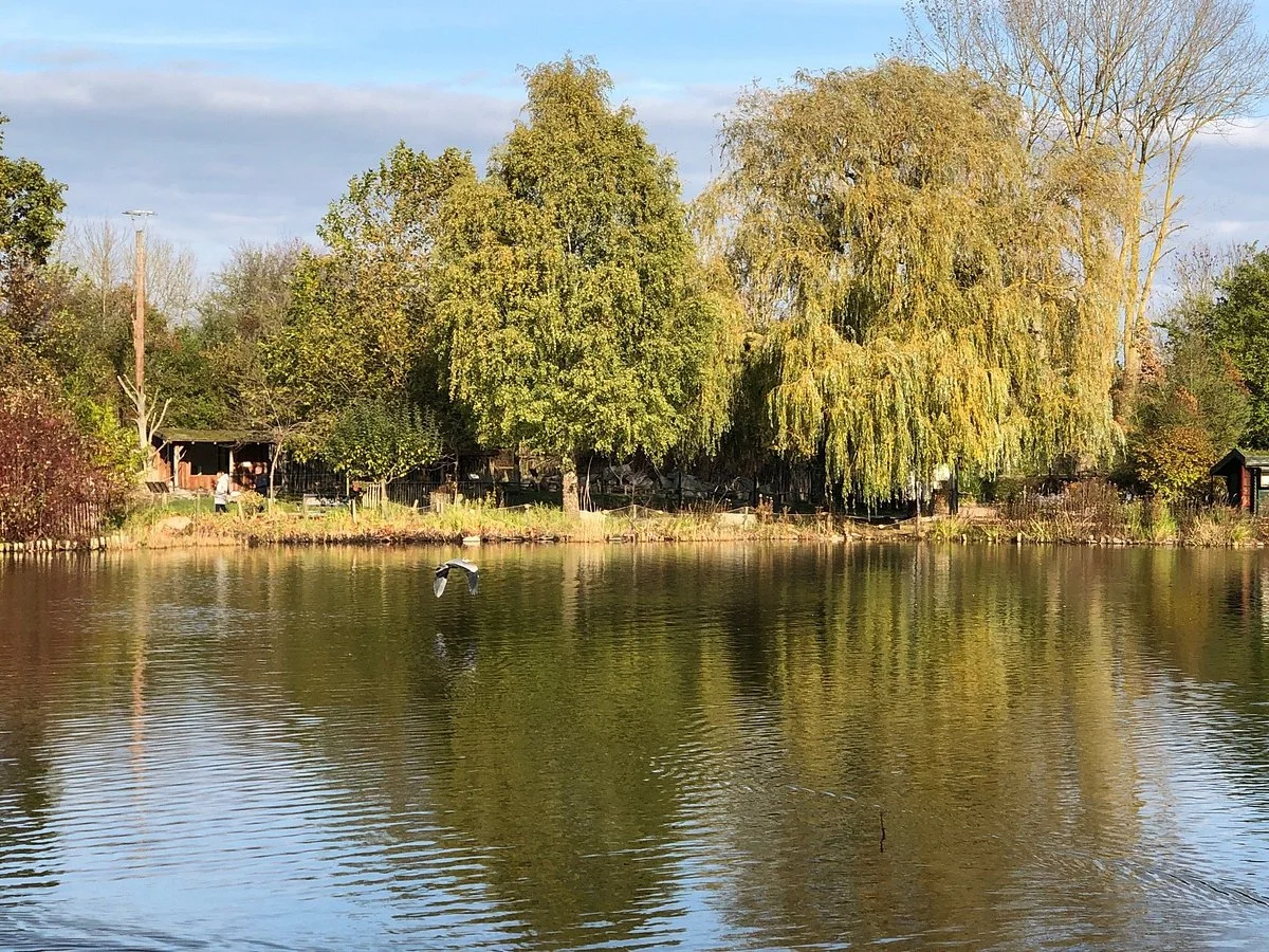 Heimattierpark Greifswald