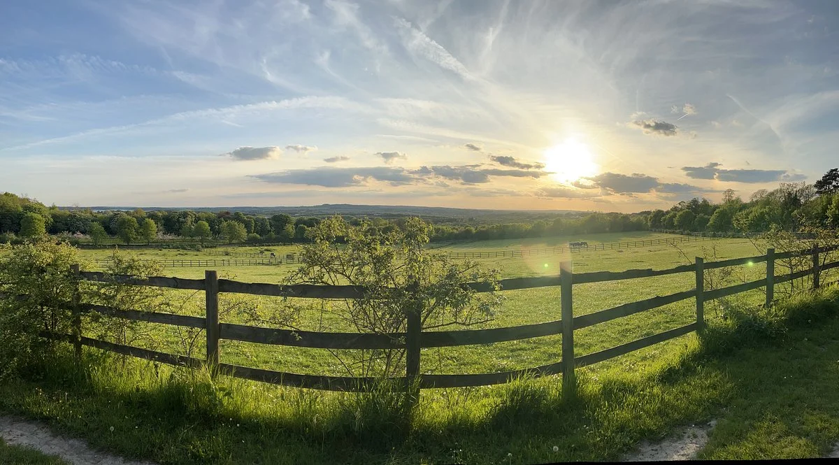 Darenth Country Park