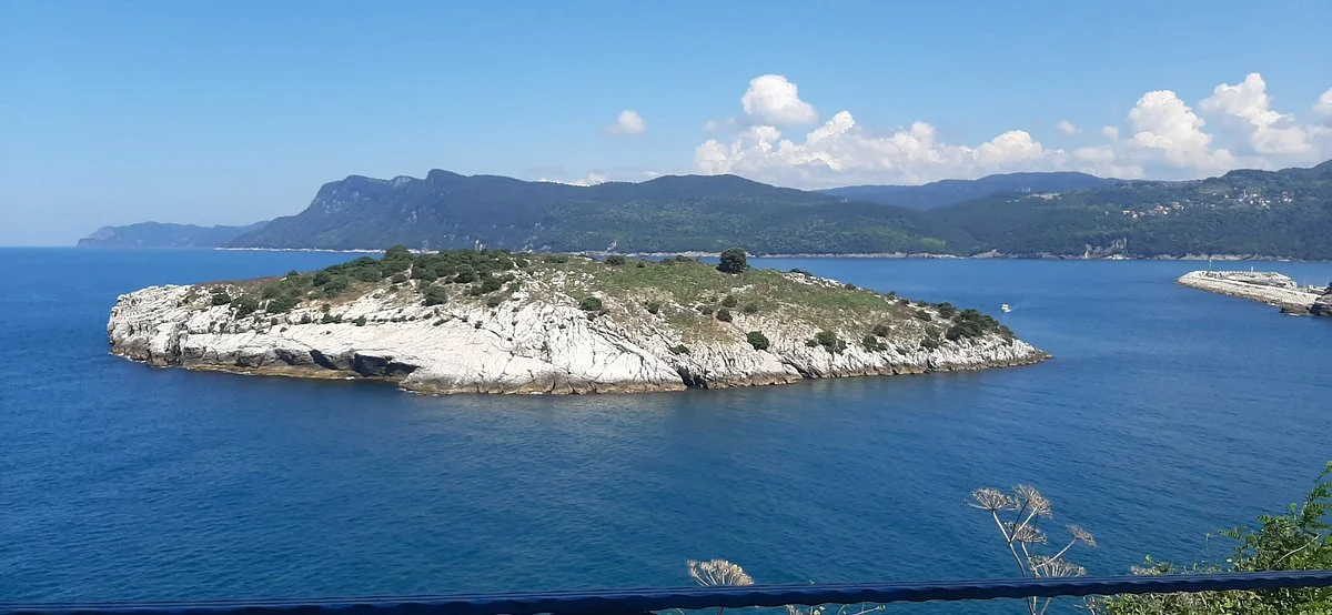 Aglayan Agac
