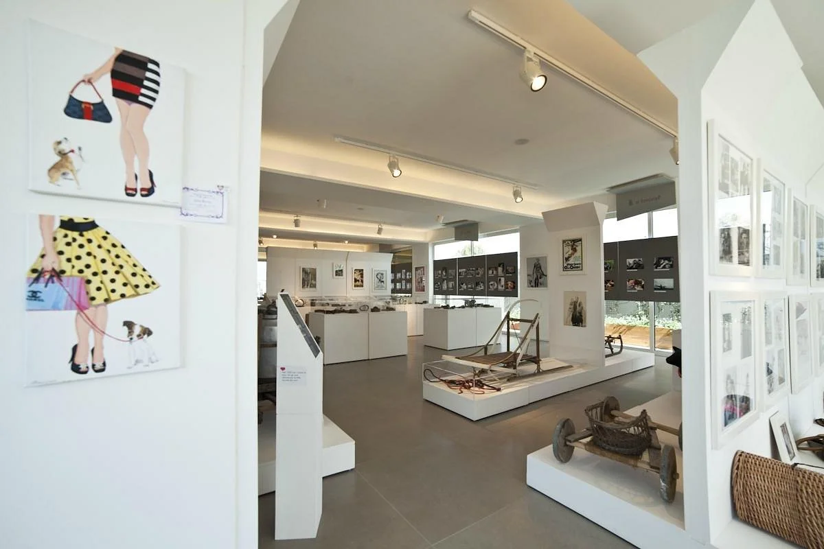 Foof - Parco e museo del cane