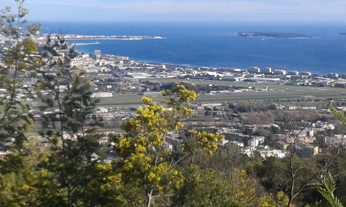 Massif du Tanneron