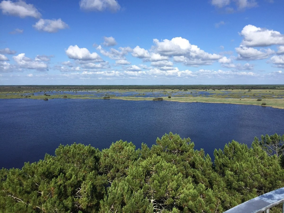 Réserve Naturelle de l'Etang de Cousseau