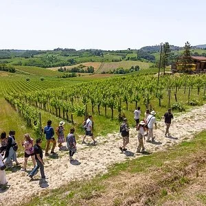 Sestola