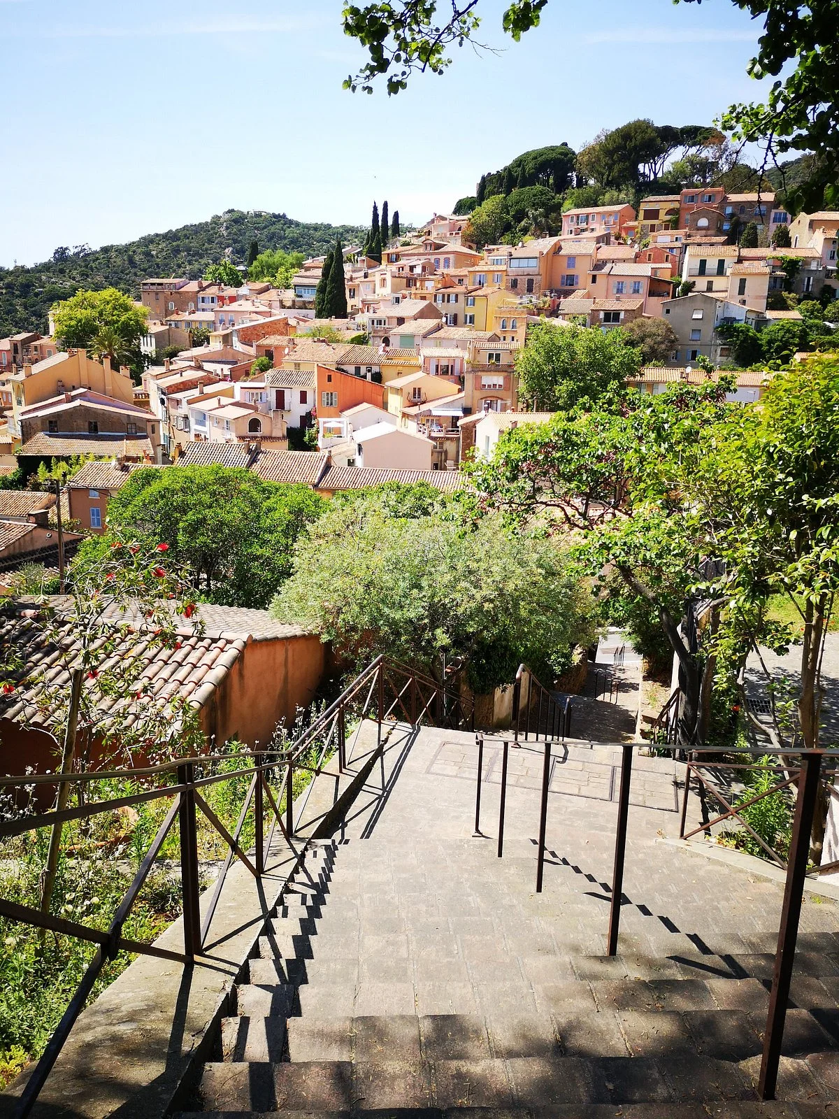Marché sur Bormes les Mimosas
