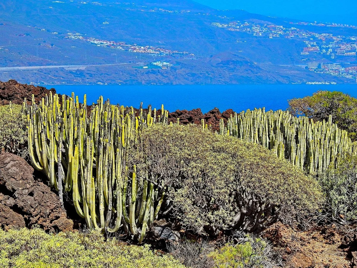 Malpais de Güimar