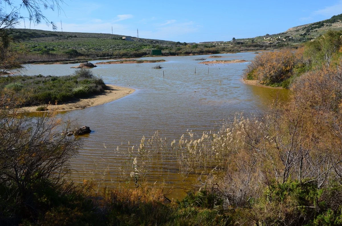Għadira Nature Reserve