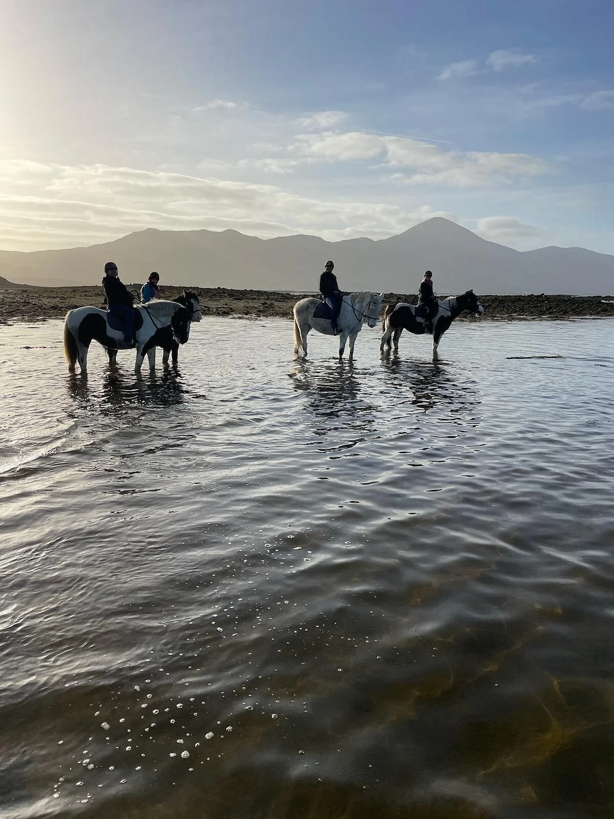 Carrowholly Stables & Trekking Centre