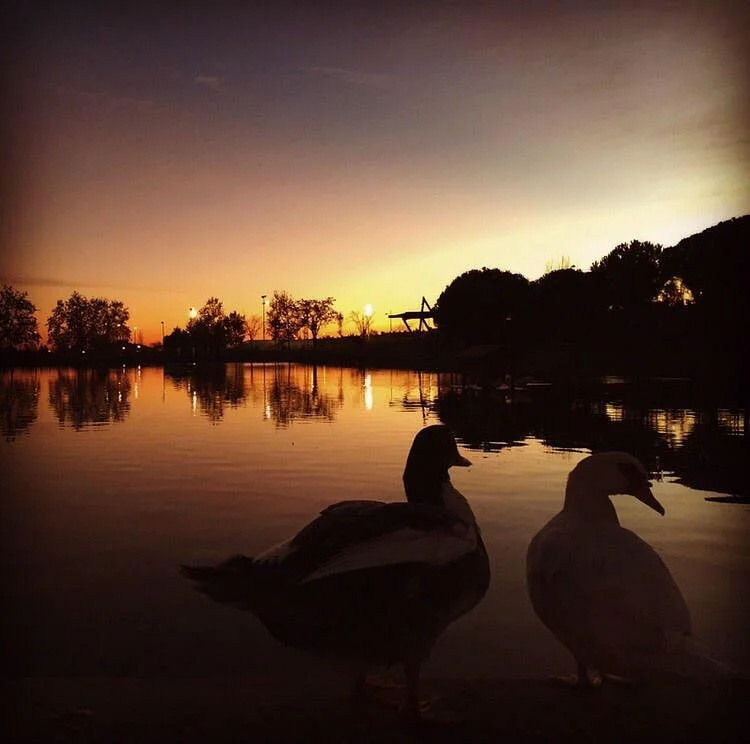 Parque de la alhondiga