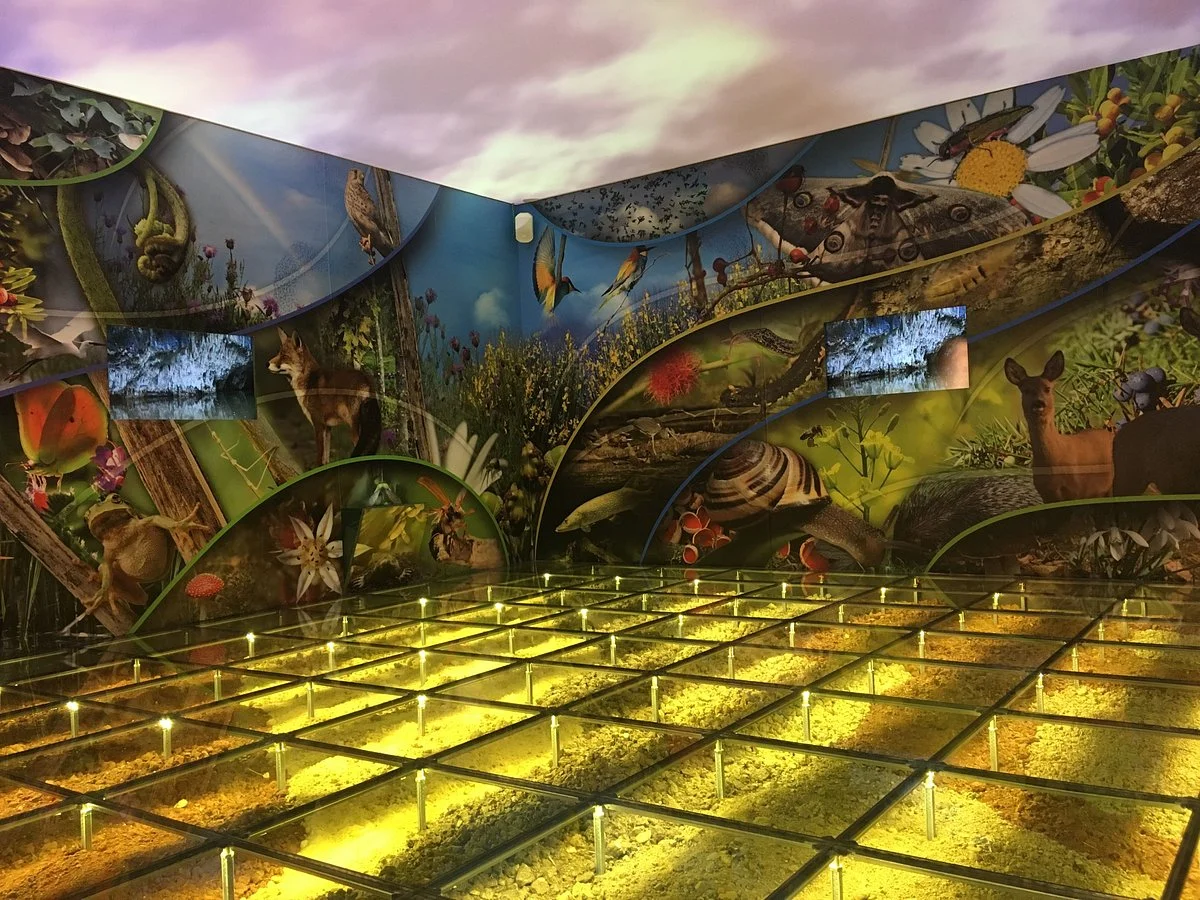 Museo della Biodiversita