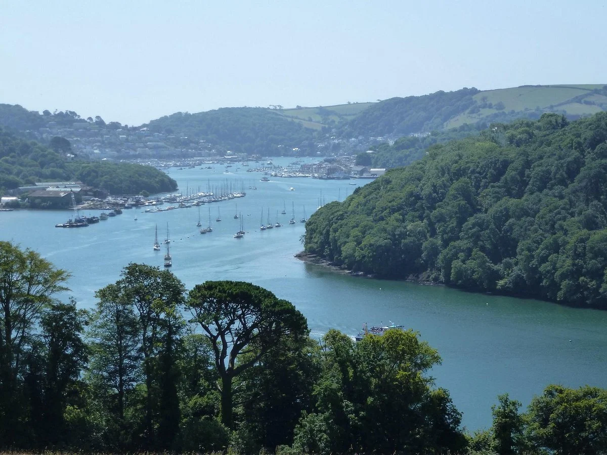 Dart River