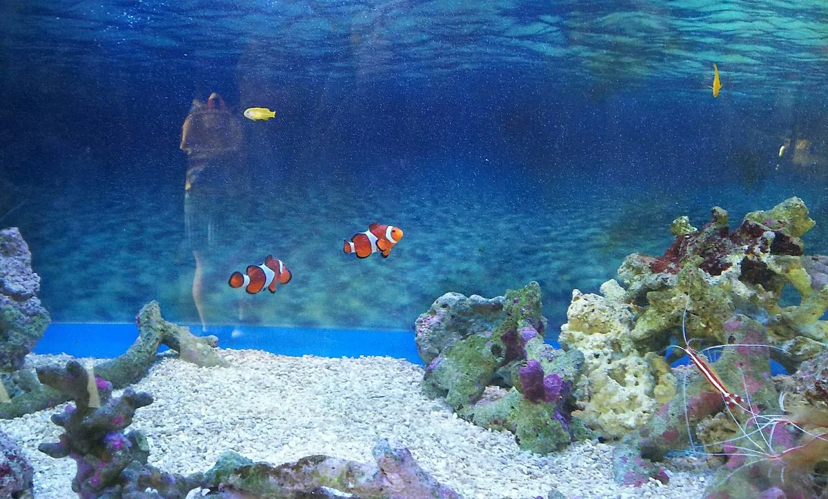 Kiryugaoka Zoo