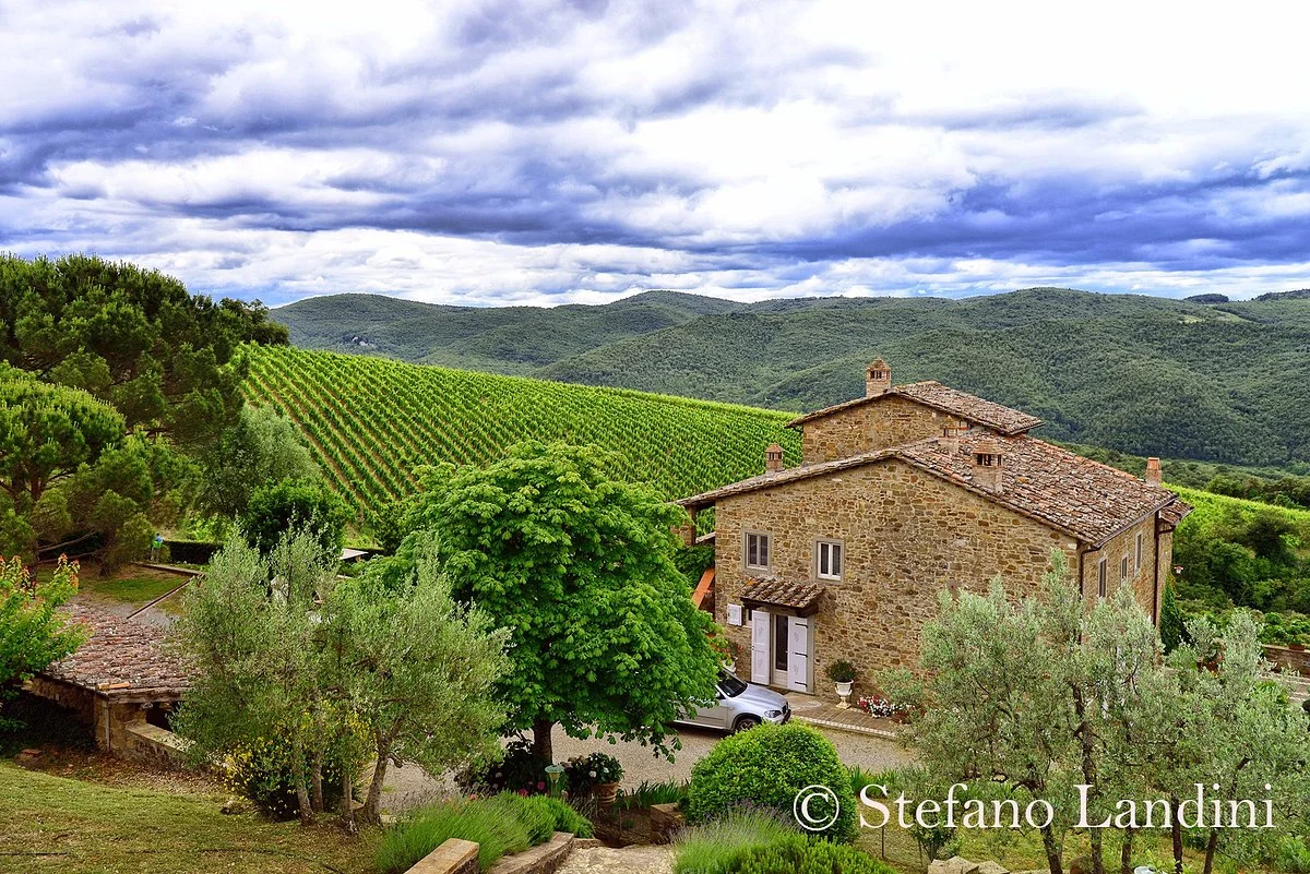 Fattoria di Montemaggio