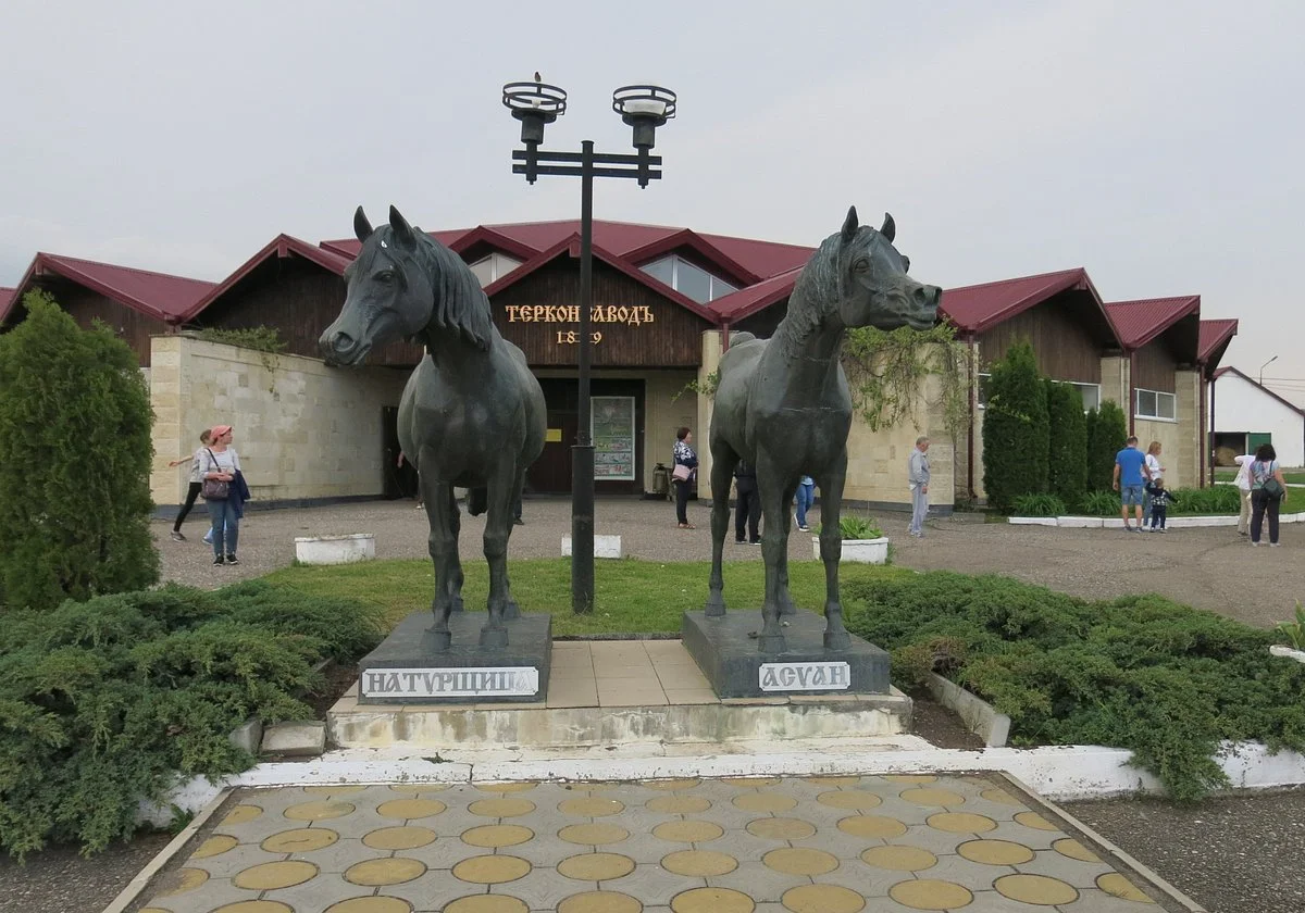 Terskiy Horse Ranch
