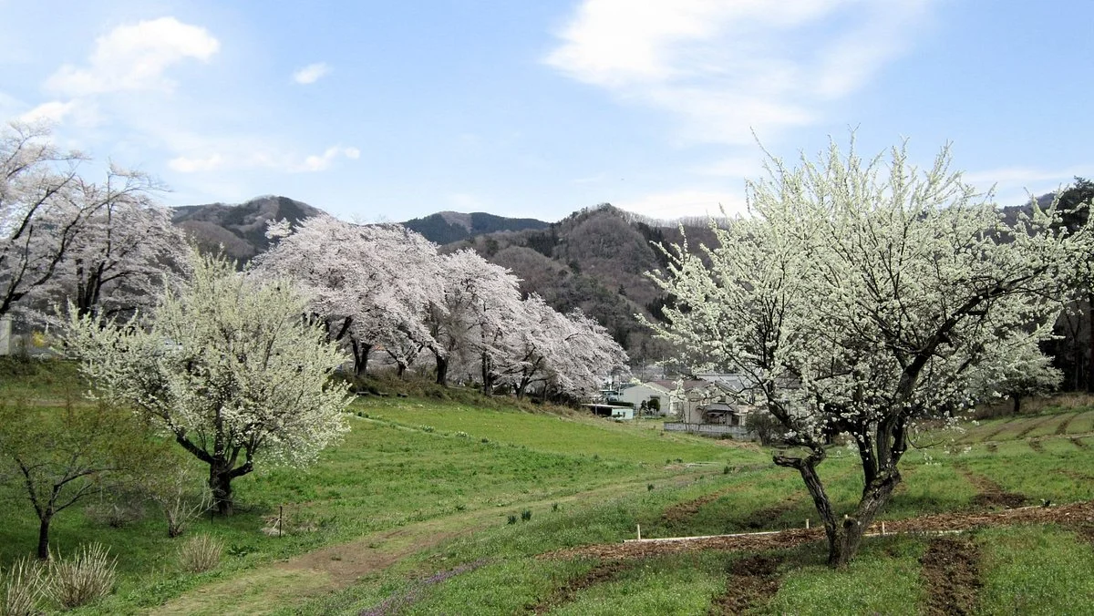 Old Arai Residence