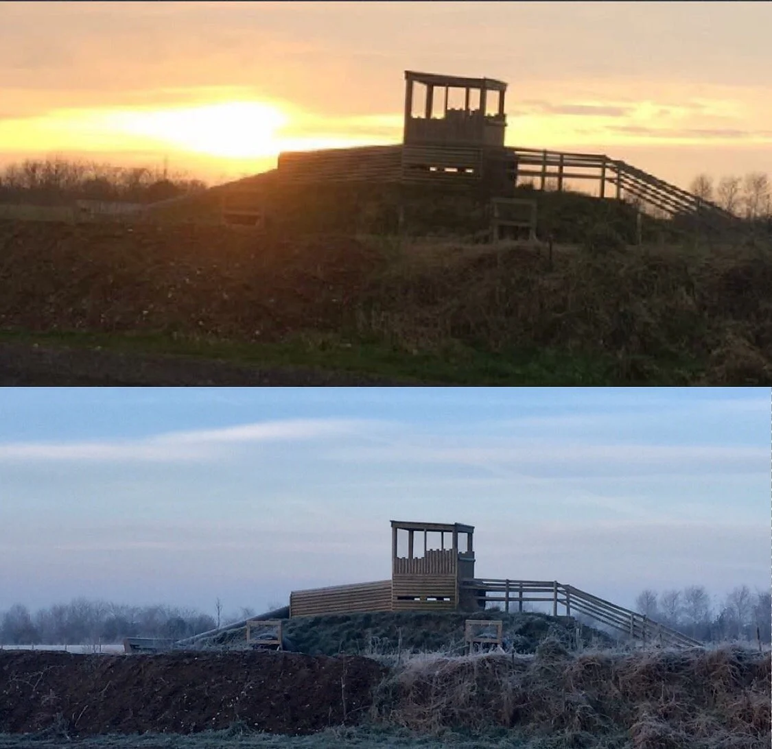 The Pink Pig Farm