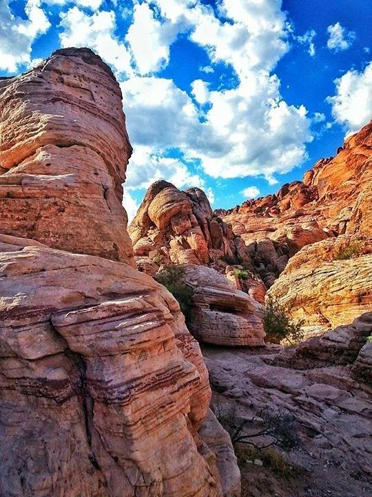 Red Rock Canyon National Conservation Area