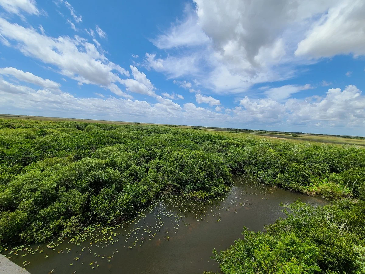 Shark Valley