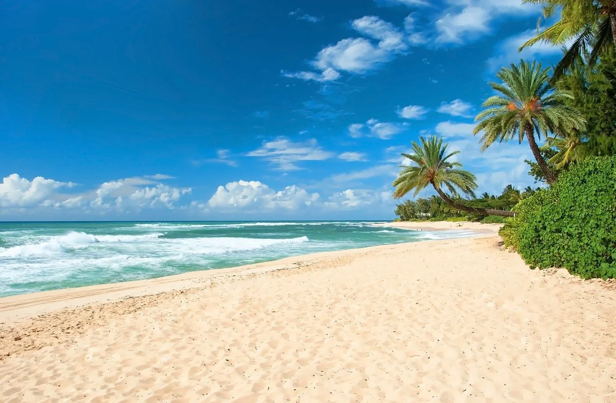 North Shore Beach Bus