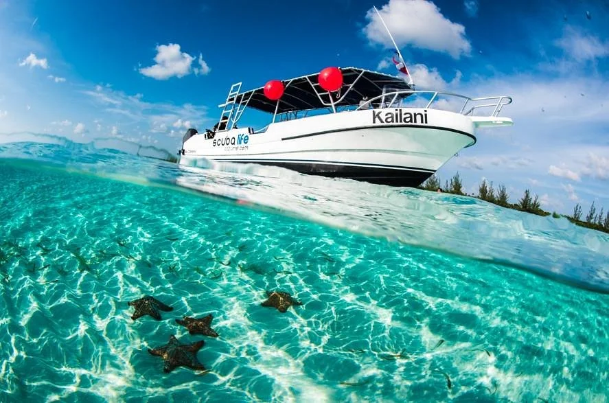 Scuba Life Cozumel