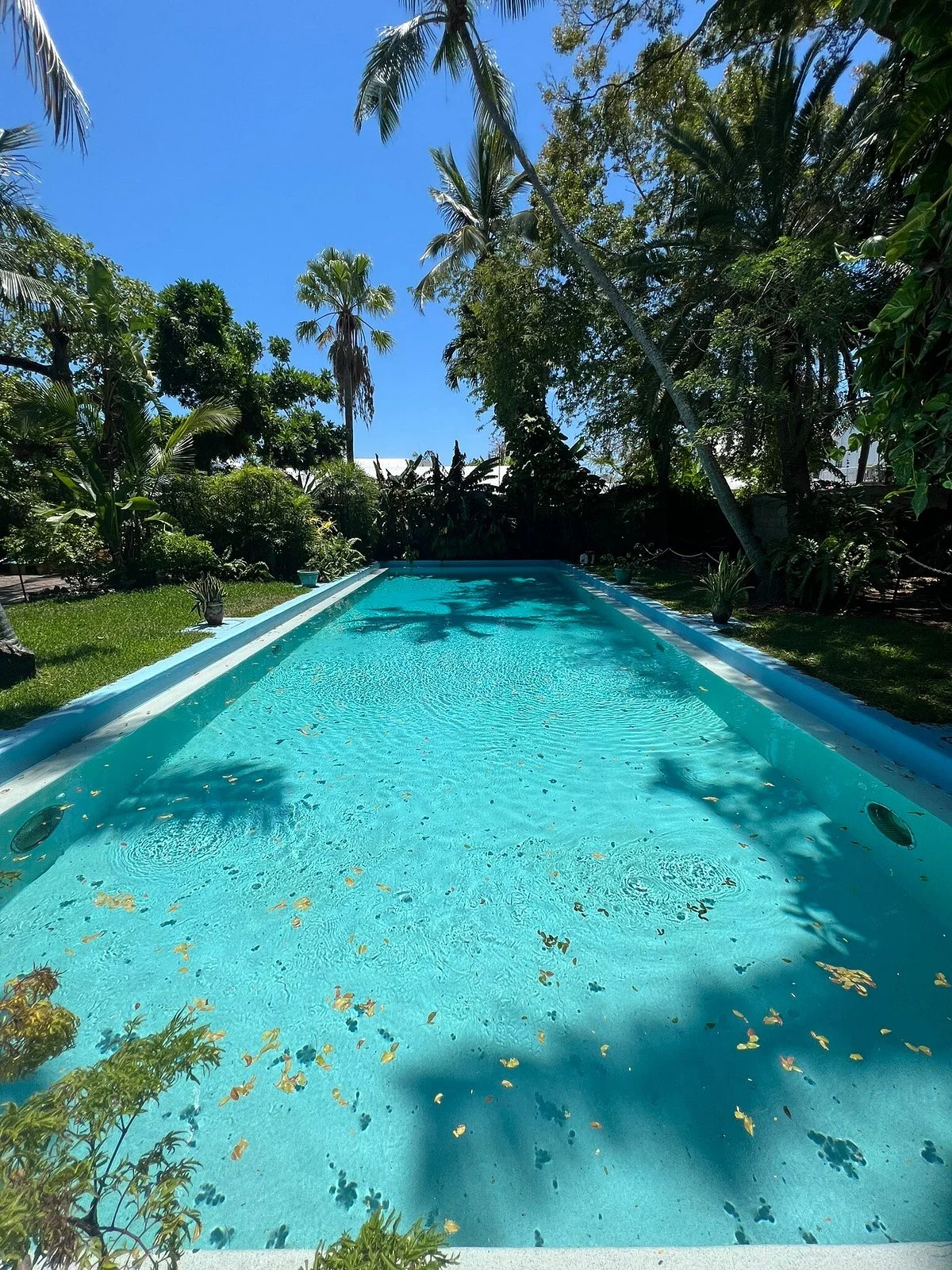 The Ernest Hemingway Home and Museum