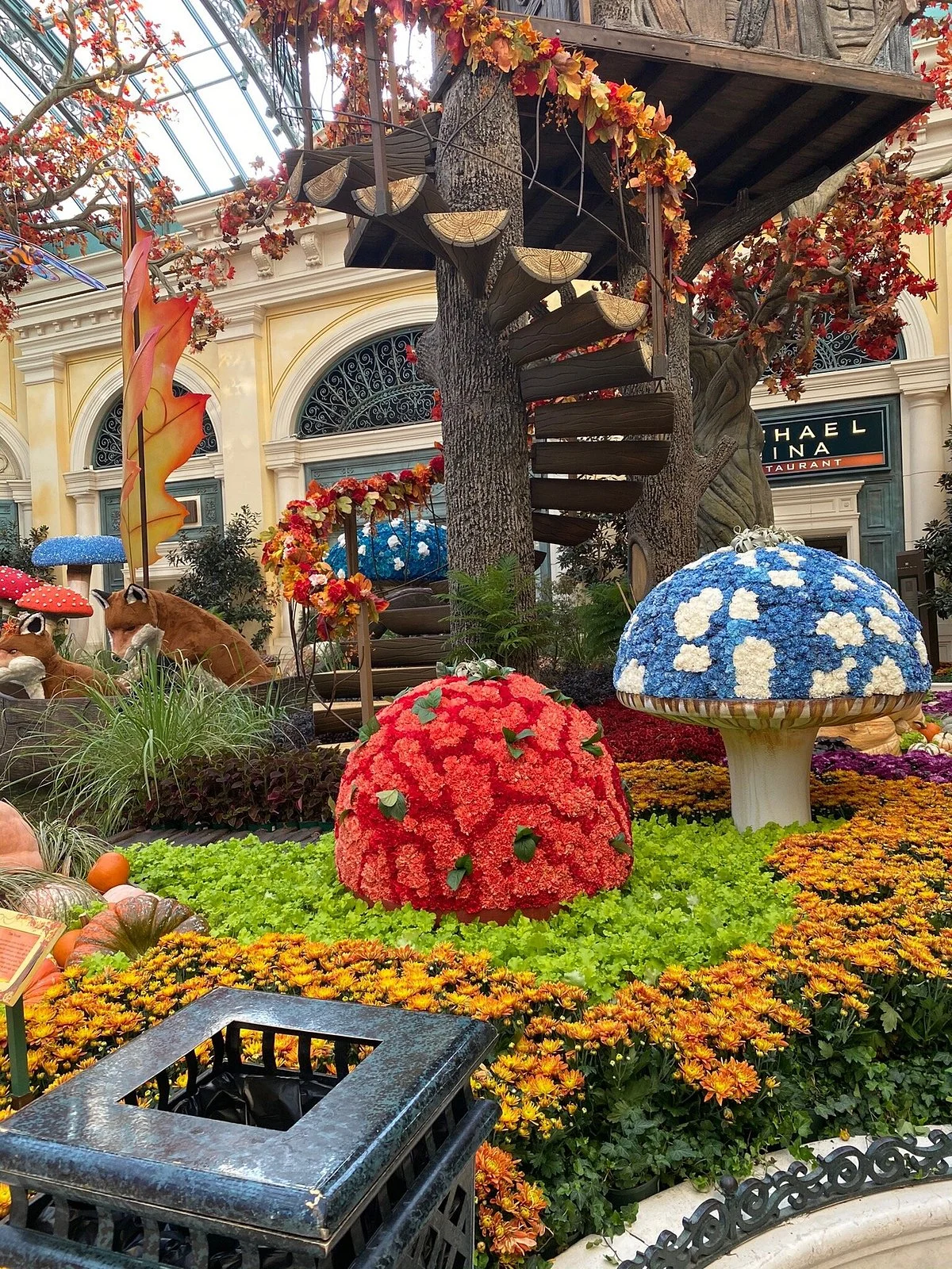 Bellagio Conservatory & Botanical Garden