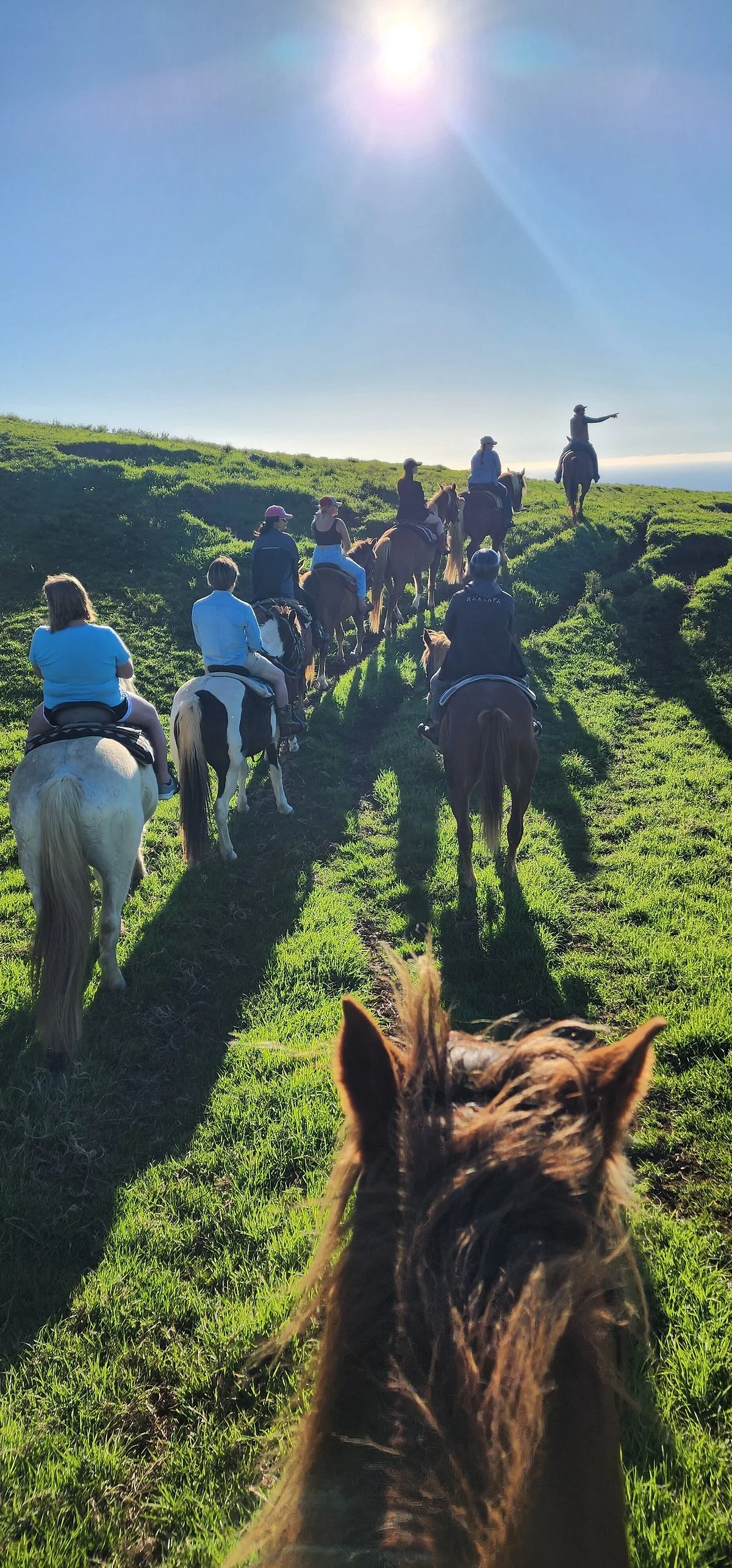 Na'alapa Stables - Kahua Ranch