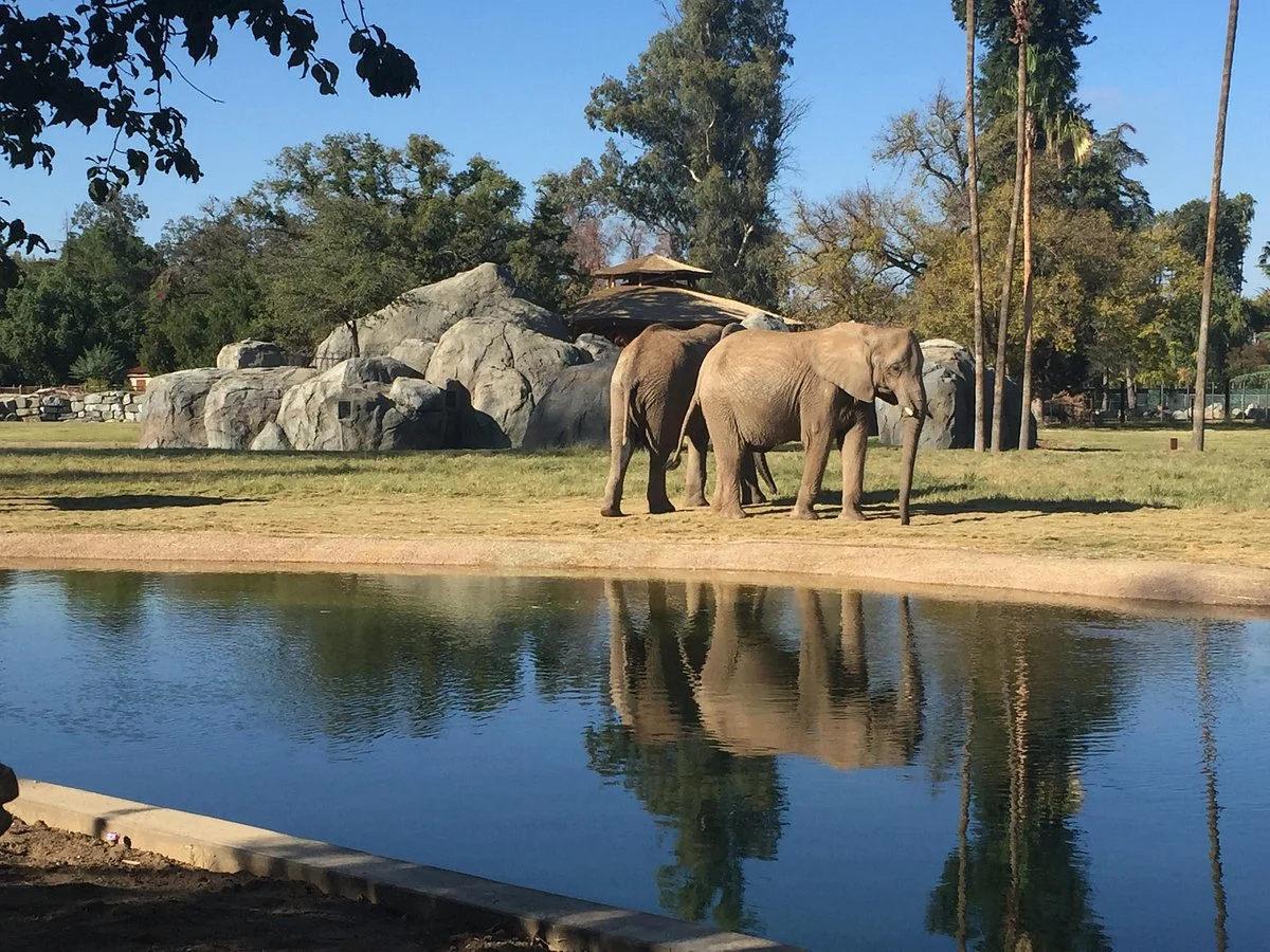 Fresno Chaffee Zoo