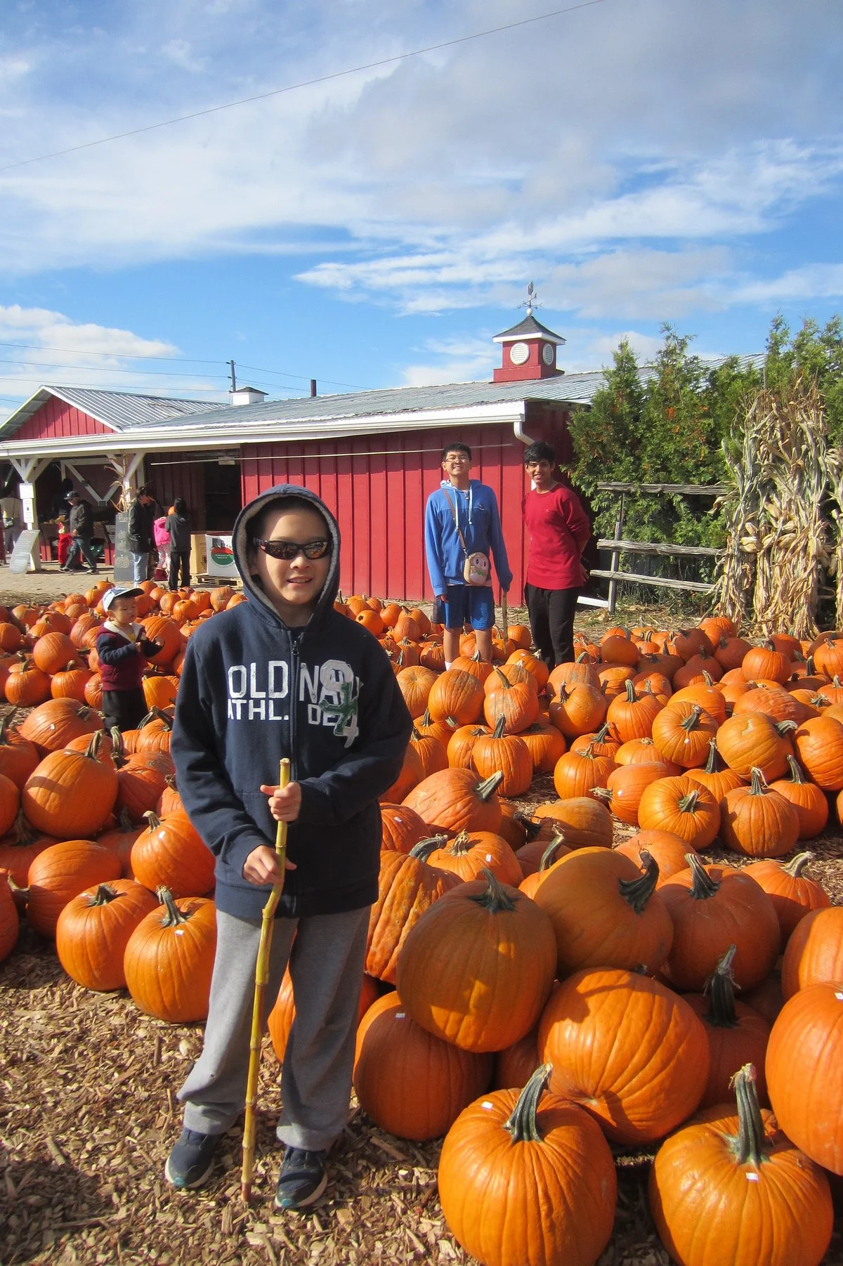 Reesor Farm Market