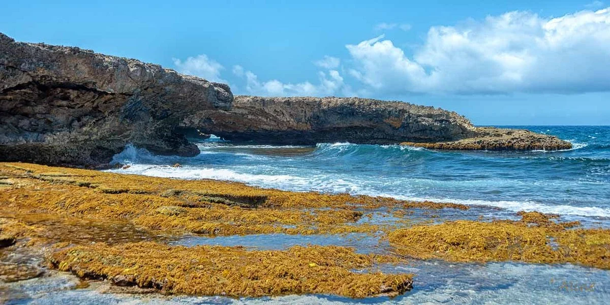 Shete Boka National Park