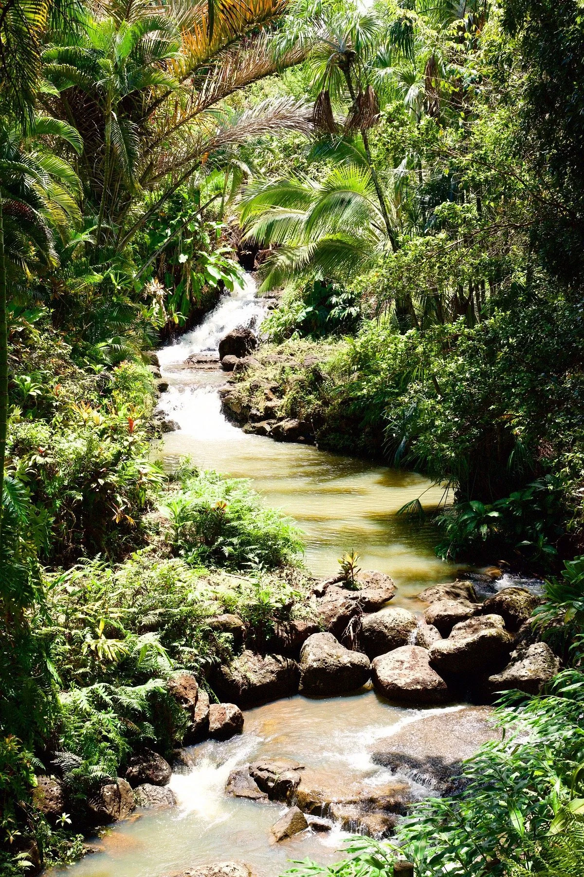 Princeville Botanical Gardens